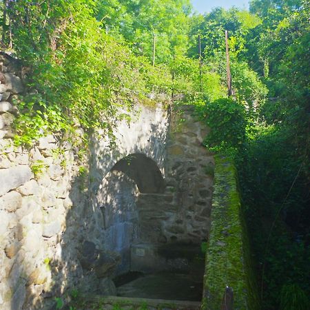 Puig Roja Del Roser Prats-de-Mollo-la-Preste Exterior photo
